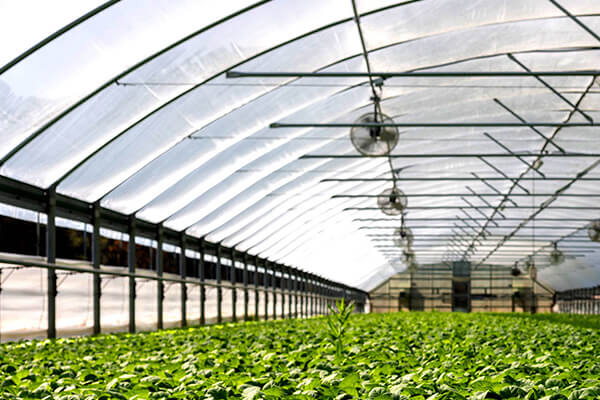 environment packaging